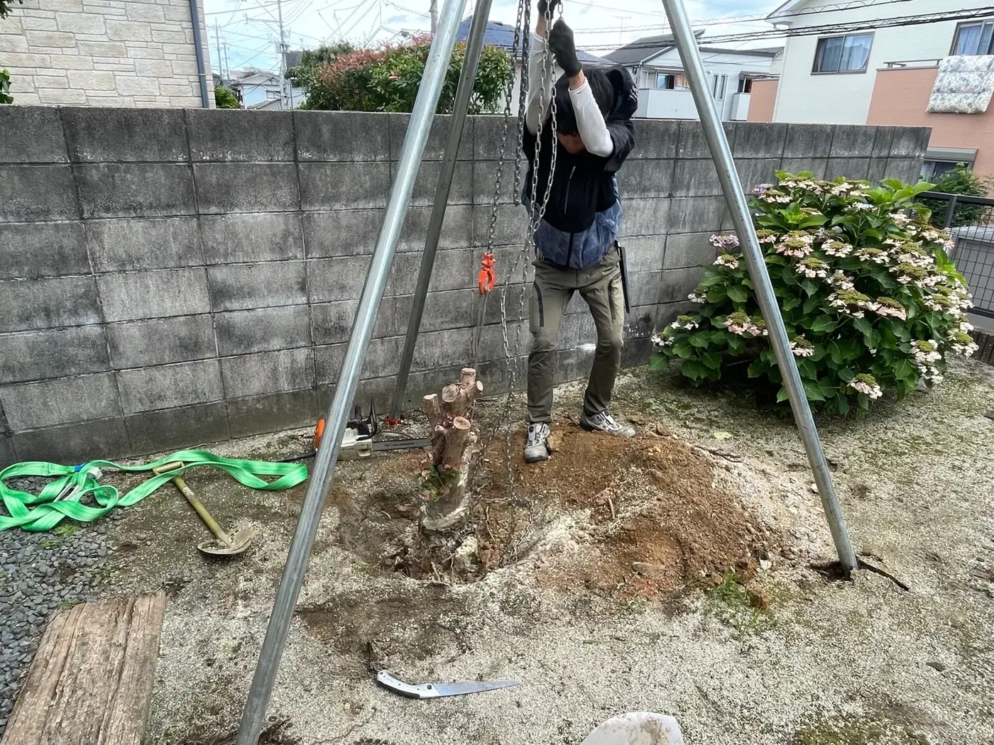 アーボプラス提供、アーボプラスが手がけた抜根作業