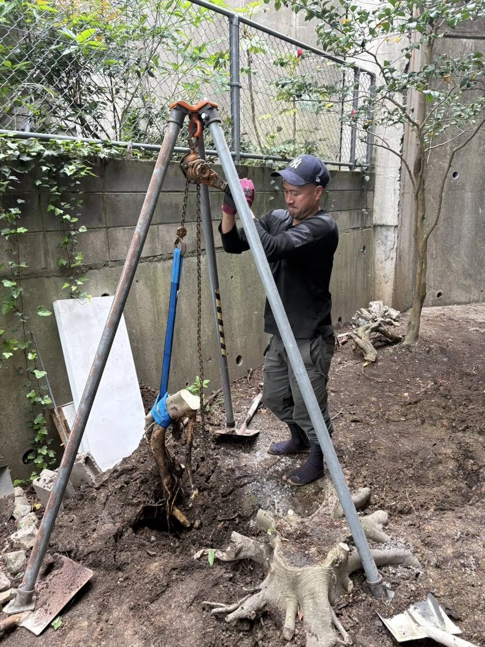 心彩Works提供、心彩Worksによる抜根作業。